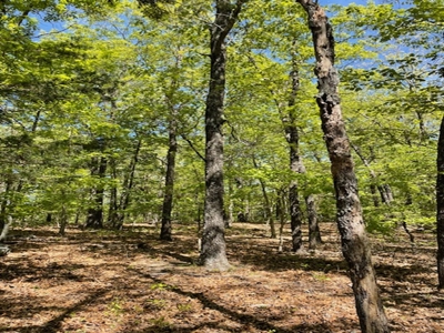 Off Pavement And Off Grid At End Of Road - image 14