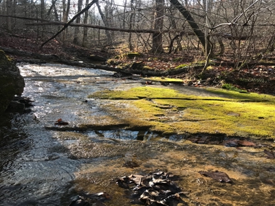 Off Pavement And Off Grid At End Of Road - image 4