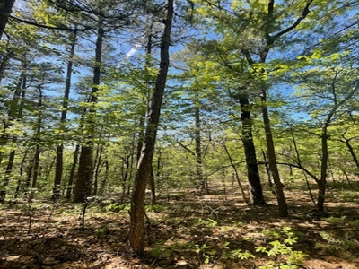 Off Pavement And Off Grid At End Of Road - image 13