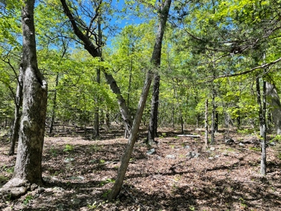 Off Pavement And Off Grid At End Of Road - image 11