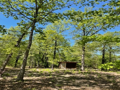 Off Pavement And Off Grid At End Of Road - image 10