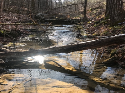 Off Pavement And Off Grid At End Of Road - image 7