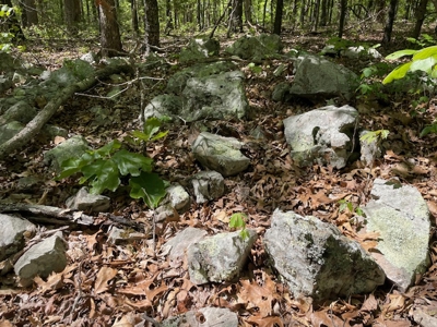 Off Pavement And Off Grid At End Of Road - image 12