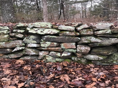 Off Pavement And Off Grid At End Of Road - image 2