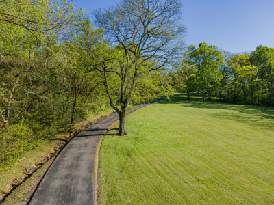 Luxury Home On 42 Park-Like Acres In Fayetteville, Tennessee - image 9
