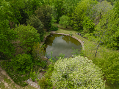 Luxury Home On 42 Park-Like Acres In Fayetteville, Tennessee - image 20