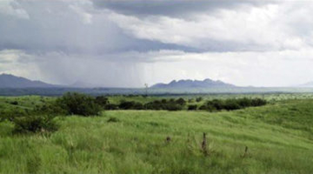 Custom Home Lots at Red Hawk J-6 Ranch – Bid Online by May 22! - image 5
