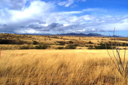 Custom Home Lots at Red Hawk J-6 Ranch – Bid Online by May 22! - image 2