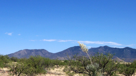 Custom Home Lots at Red Hawk J-6 Ranch – Bid Online by May 22! - image 4