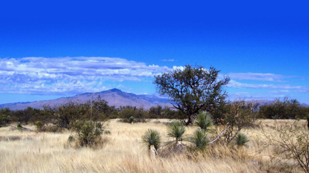 Custom Home Lots at Red Hawk J-6 Ranch – Bid Online by May 22! - image 6