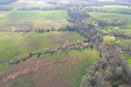 CRP & Hunting Farm For Sale – Grundy County, MO - image 6