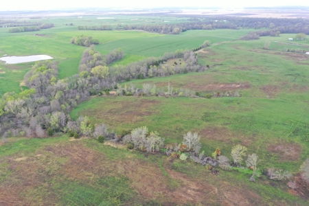 CRP & Hunting Farm For Sale – Grundy County, MO - image 3