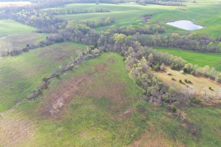 CRP & Hunting Farm For Sale – Grundy County, MO - image 9