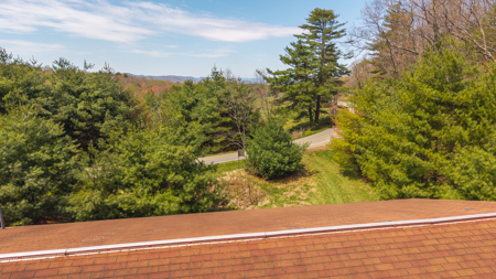 Commercial Property for Sale in Floyd County VA - image 1