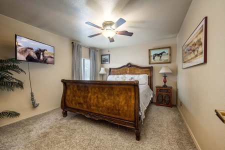Well-Equipped Horse Property for Sale in Las Cruces, New Mexico - image 28
