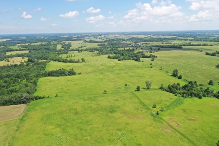112-Acre CRP & Hunting Farm – Mercer & Grundy County, MO - image 10