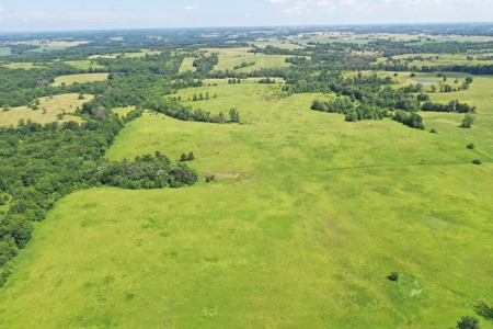 112-Acre CRP & Hunting Farm – Mercer & Grundy County, MO - image 13