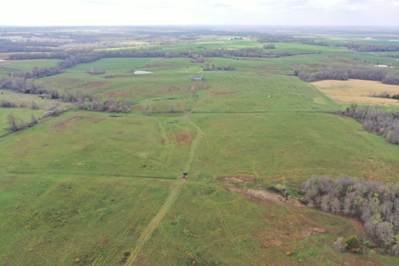 112-Acre CRP & Hunting Farm – Mercer & Grundy County, MO - image 3