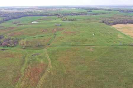 112-Acre CRP & Hunting Farm – Mercer & Grundy County, MO - image 2