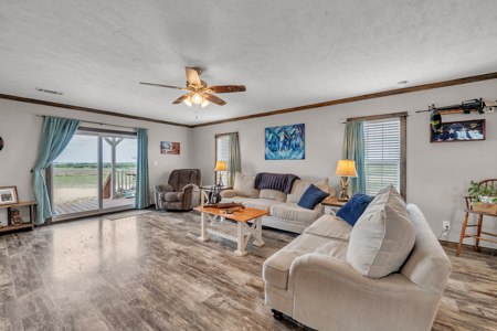 Horse Property For Sale in Gatesville Texas Coryell County - image 25