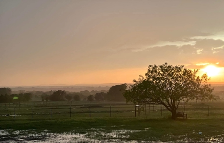 Horse Property For Sale in Gatesville Texas Coryell County - image 39