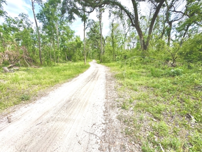 Land For Sale In Lafayette County By The River!!! - image 3