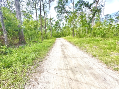 Land For Sale In Lafayette County By The River!!! - image 4