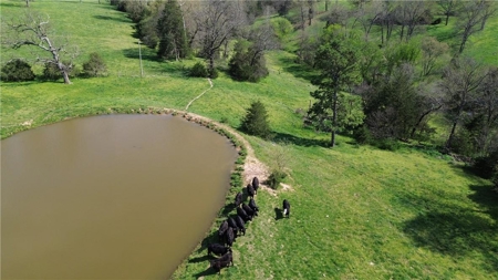 37.57 Acres Farm Land/Ponds For Sale  Near Berryville, Arkansas - image 13