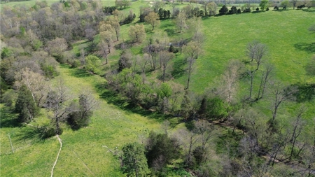 37.57 Acres Farm Land/Ponds For Sale  Near Berryville, Arkansas - image 14