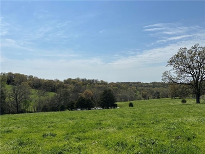 37.57 Acres Farm Land/Ponds For Sale  Near Berryville, Arkansas - image 20