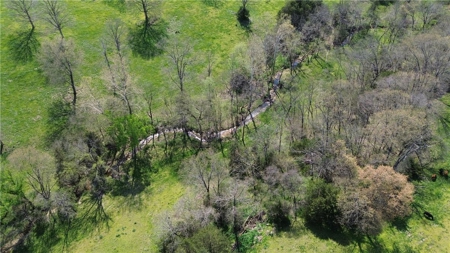 37.57 Acres Farm Land/Ponds For Sale  Near Berryville, Arkansas - image 12