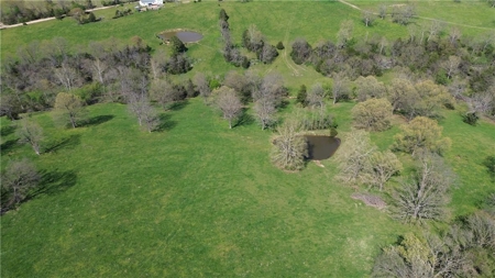 37.57 Acres Farm Land/Ponds For Sale  Near Berryville, Arkansas - image 9