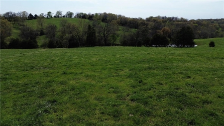 37.57 Acres Farm Land/Ponds For Sale  Near Berryville, Arkansas - image 16