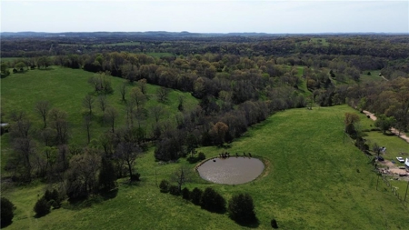 37.57 Acres Farm Land/Ponds For Sale  Near Berryville, Arkansas - image 7