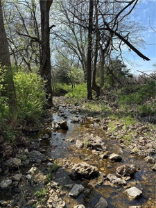 37.57 Acres Farm Land/Ponds For Sale  Near Berryville, Arkansas - image 5