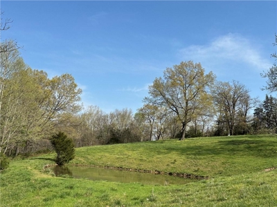 37.57 Acres Farm Land/Ponds For Sale  Near Berryville, Arkansas - image 22