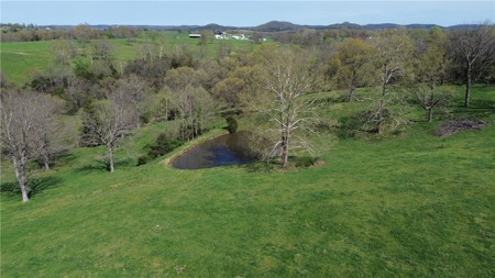 37.57 Acres Farm Land/Ponds For Sale  Near Berryville, Arkansas - image 8