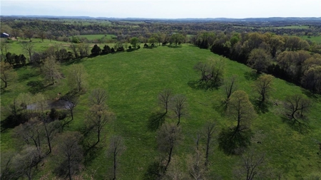 37.57 Acres Farm Land/Ponds For Sale  Near Berryville, Arkansas - image 11
