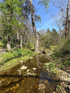 37.57 Acres Farm Land/Ponds For Sale  Near Berryville, Arkansas - image 6