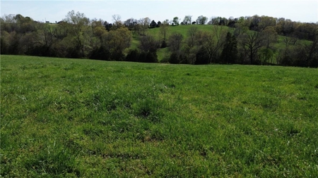 37.57 Acres Farm Land/Ponds For Sale  Near Berryville, Arkansas - image 15
