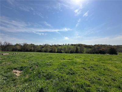 37.57 Acres Farm Land/Ponds For Sale  Near Berryville, Arkansas - image 19