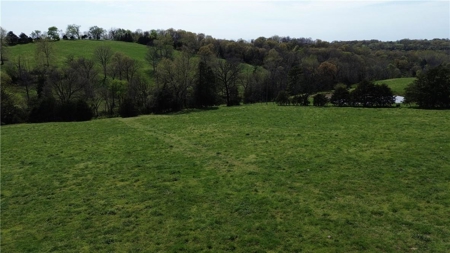 37.57 Acres Farm Land/Ponds For Sale  Near Berryville, Arkansas - image 18