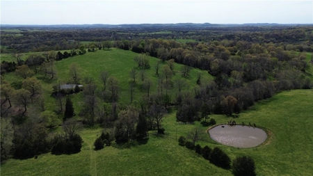 37.57 Acres Farm Land/Ponds For Sale  Near Berryville, Arkansas - image 2