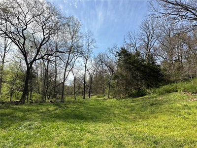 37.57 Acres Farm Land/Ponds For Sale  Near Berryville, Arkansas - image 24