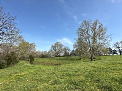 37.57 Acres Farm Land/Ponds For Sale  Near Berryville, Arkansas - image 23
