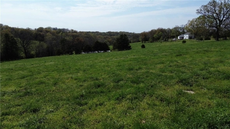 37.57 Acres Farm Land/Ponds For Sale  Near Berryville, Arkansas - image 17