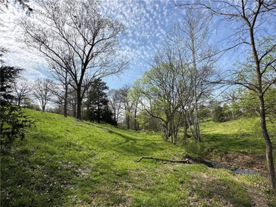 37.57 Acres Farm Land/Ponds For Sale  Near Berryville, Arkansas - image 21