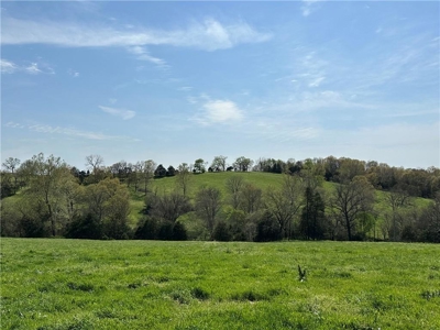 37.57 Acres Farm Land/Ponds For Sale  Near Berryville, Arkansas - image 4