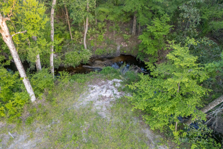 Your Dream Barndominium on 6+ Acres in North Florida! - image 24