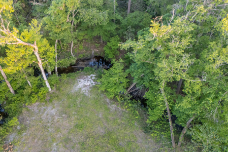 Your Dream Barndominium on 6+ Acres in North Florida! - image 22